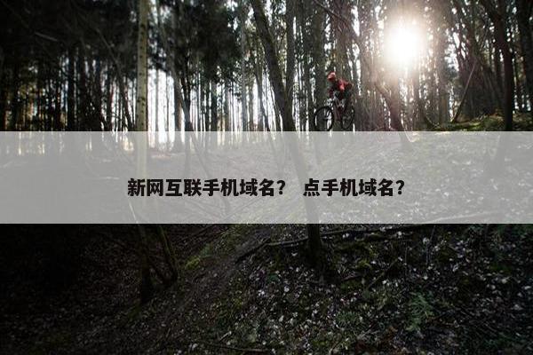新网互联手机域名？ 点手机域名？