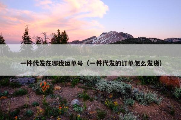 一件代发在哪找运单号（一件代发的订单怎么发货）