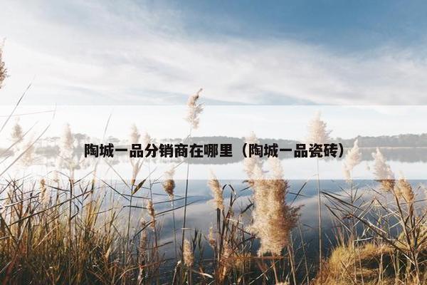 陶城一品分销商在哪里（陶城一品瓷砖）