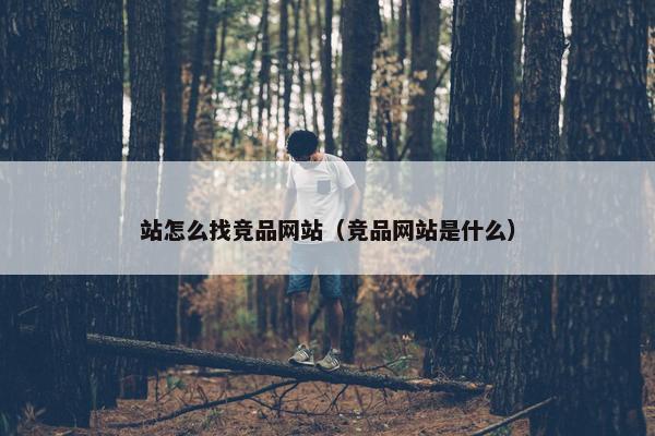 站怎么找竞品网站（竞品网站是什么）