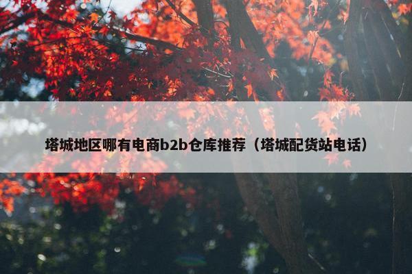 塔城地区哪有电商b2b仓库推荐（塔城配货站电话）