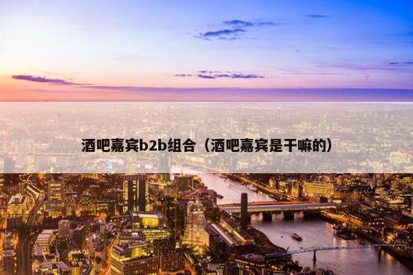 酒吧嘉宾b2b组合（酒吧嘉宾是干嘛的）