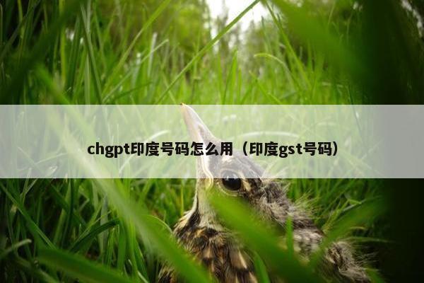 chgpt印度号码怎么用（印度gst号码）