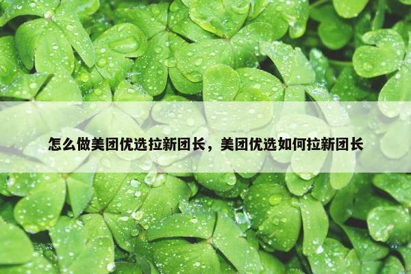 怎么做美团优选拉新团长，美团优选如何拉新团长