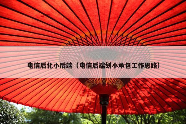 电信后化小后端（电信后端划小承包工作思路）