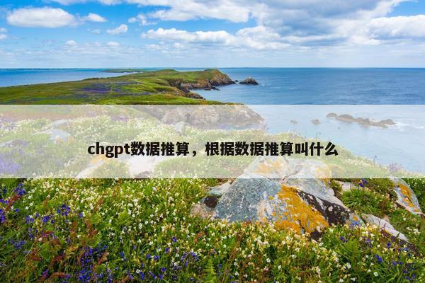 chgpt数据推算，根据数据推算叫什么