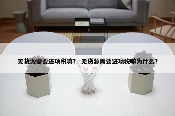 无货源需要进项税嘛？ 无货源需要进项税嘛为什么？
