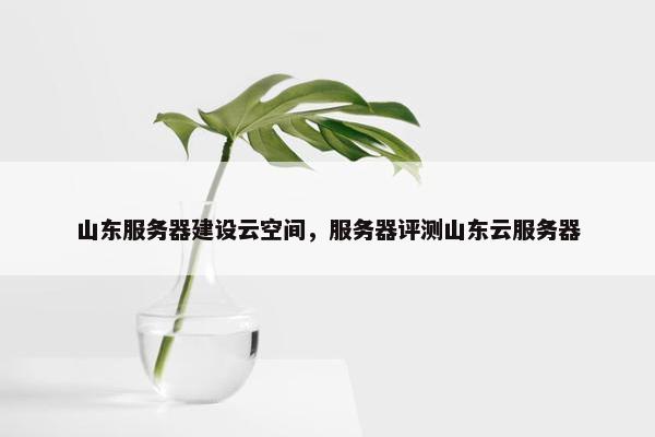 山东服务器建设云空间，服务器评测山东云服务器