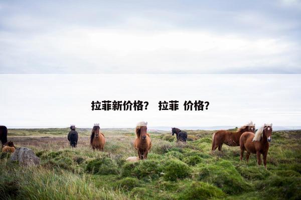 拉菲新价格？ 拉菲 价格？