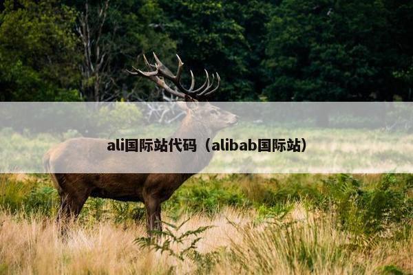 ali国际站代码（alibab国际站）