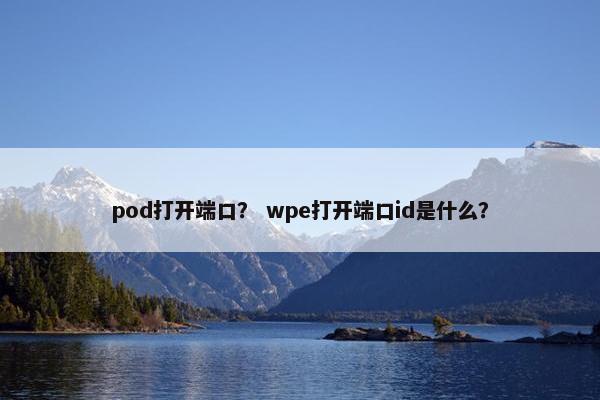 pod打开端口？ wpe打开端口id是什么？