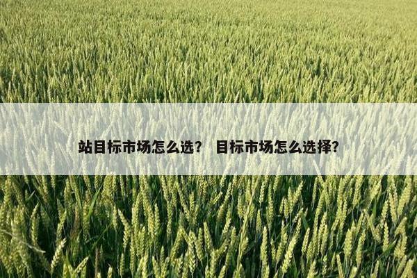 站目标市场怎么选？ 目标市场怎么选择？