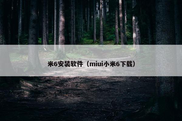米6安装软件（miui小米6下载）