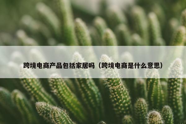跨境电商产品包括家居吗（跨境电商是什么意思）