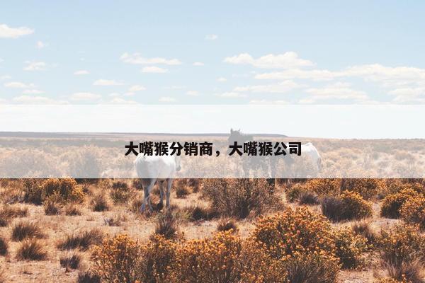 大嘴猴分销商，大嘴猴公司