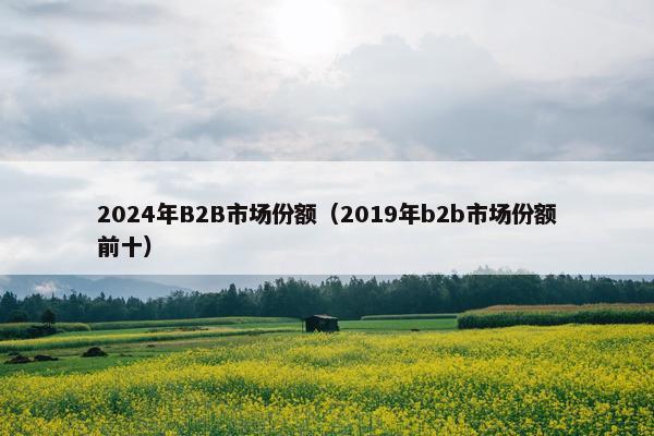 2024年B2B市场份额（2019年b2b市场份额前十）