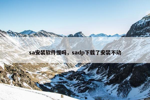 sa安装软件慢吗，sadp下载了安装不动