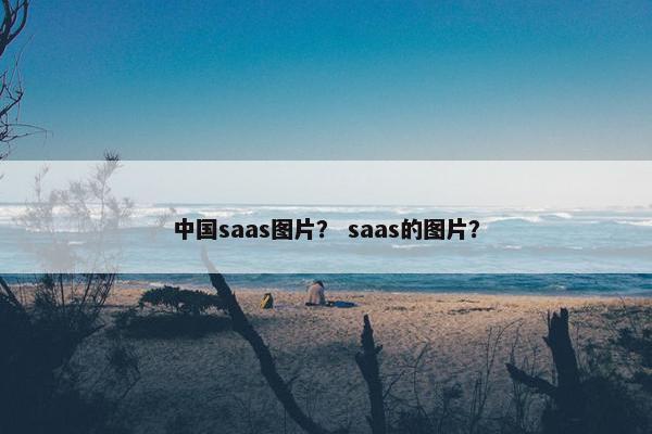 中国saas图片？ saas的图片？