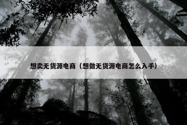 想卖无货源电商（想做无货源电商怎么入手）