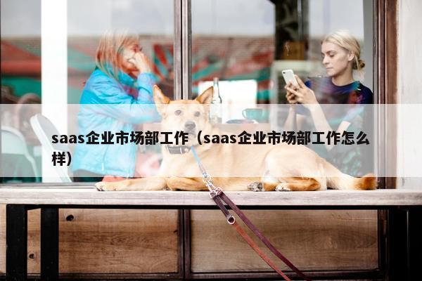 saas企业市场部工作（saas企业市场部工作怎么样）
