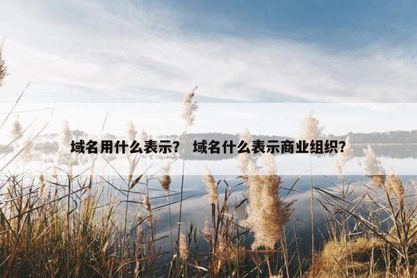 域名用什么表示？ 域名什么表示商业组织？