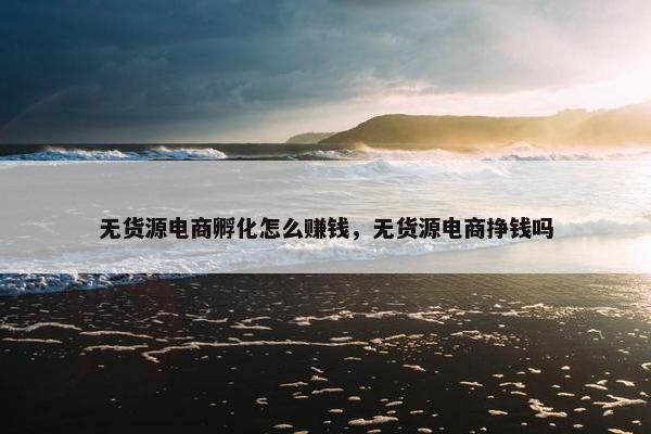 无货源电商孵化怎么赚钱，无货源电商挣钱吗