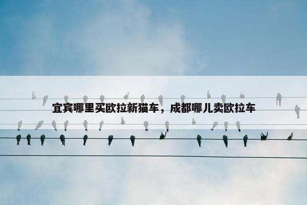 宜宾哪里买欧拉新猫车，成都哪儿卖欧拉车