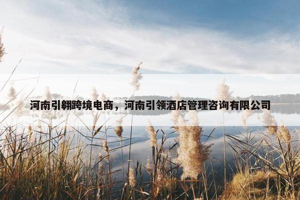 河南引翱跨境电商，河南引领酒店管理咨询有限公司