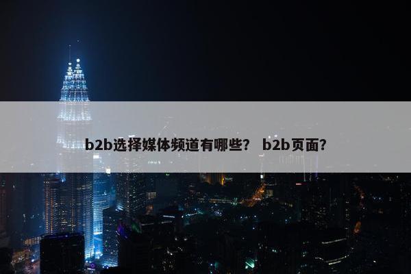 b2b选择媒体频道有哪些？ b2b页面？