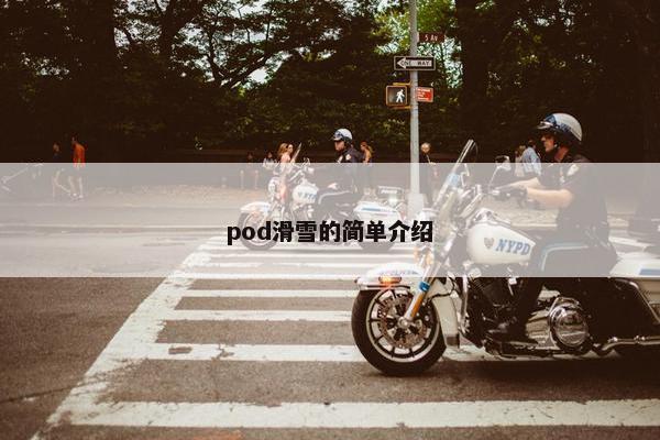 pod滑雪的简单介绍