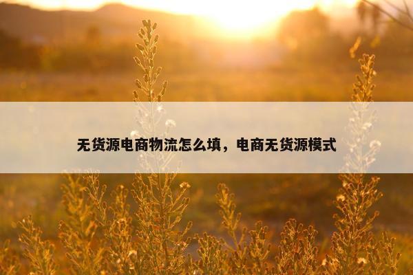 无货源电商物流怎么填，电商无货源模式