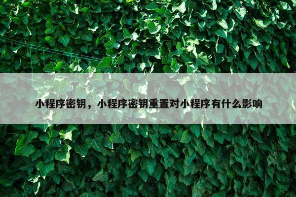 小程序密钥，小程序密钥重置对小程序有什么影响