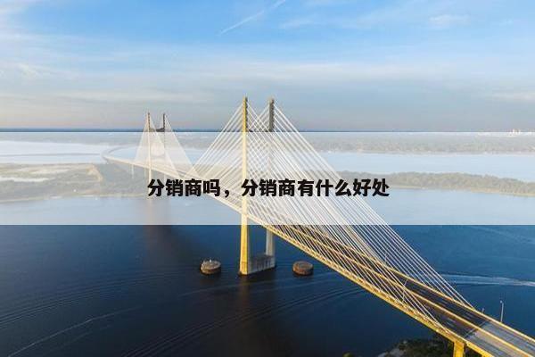 分销商吗，分销商有什么好处