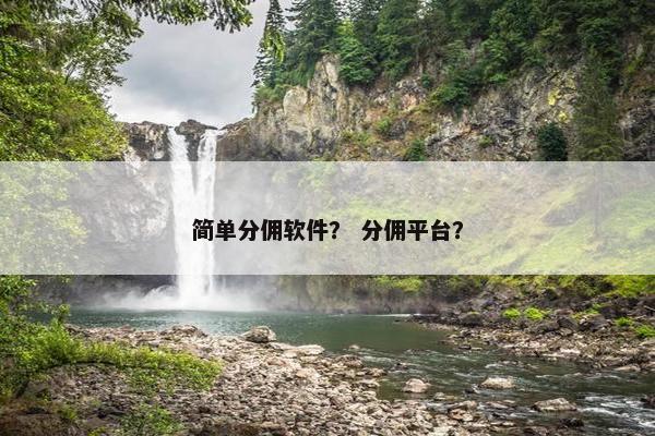 简单分佣软件？ 分佣平台？