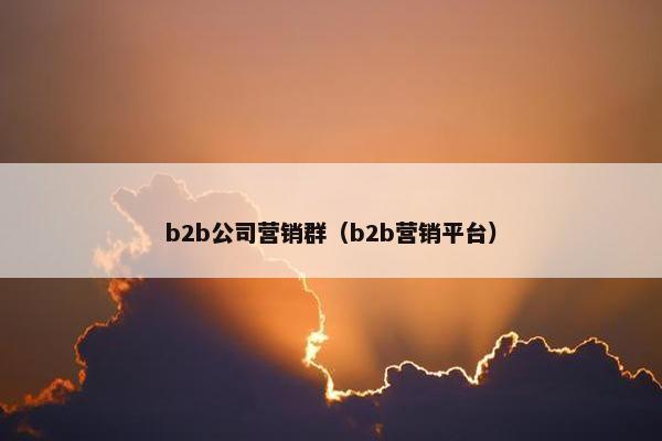 b2b公司营销群（b2b营销平台）