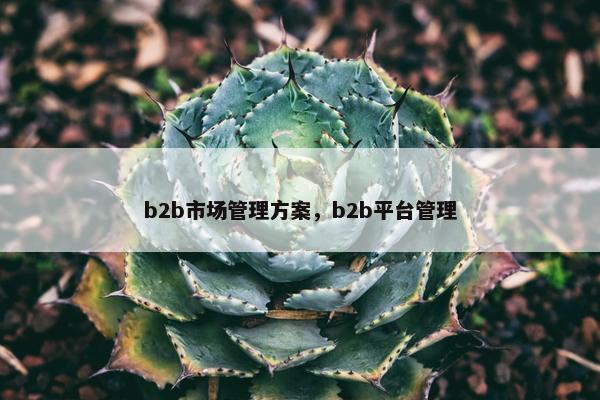 b2b市场管理方案，b2b平台管理