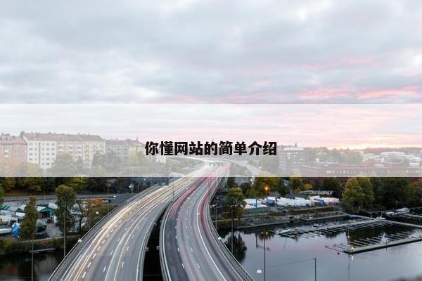 你懂网站的简单介绍