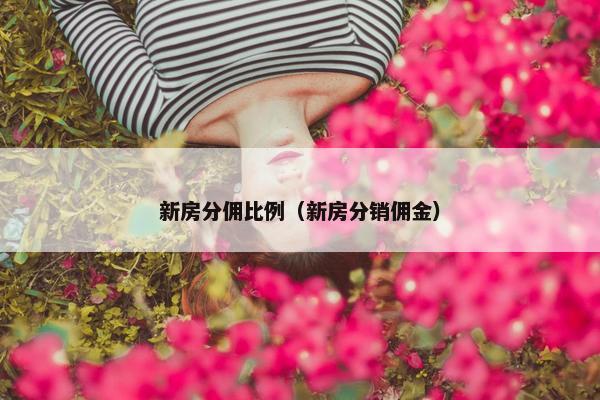 新房分佣比例（新房分销佣金）