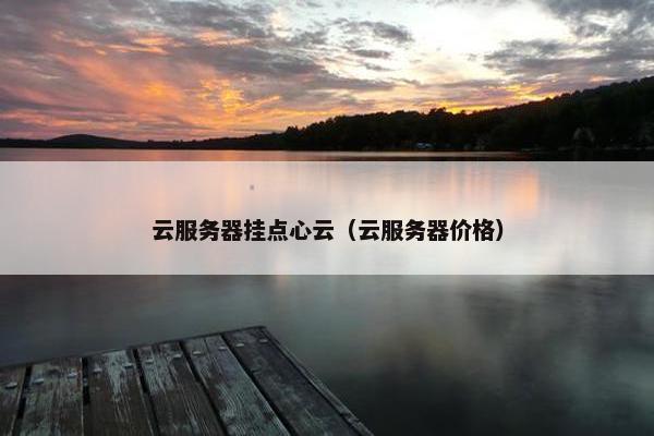 云服务器挂点心云（云服务器价格）