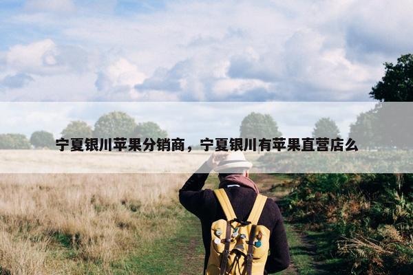 宁夏银川苹果分销商，宁夏银川有苹果直营店么