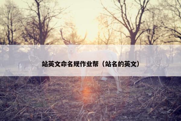站英文命名规作业帮（站名的英文）