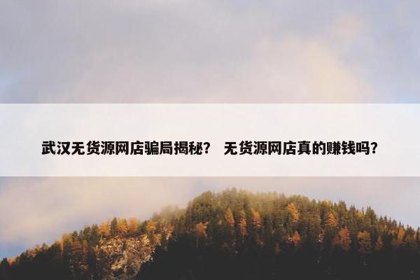 武汉无货源网店骗局揭秘？ 无货源网店真的赚钱吗？