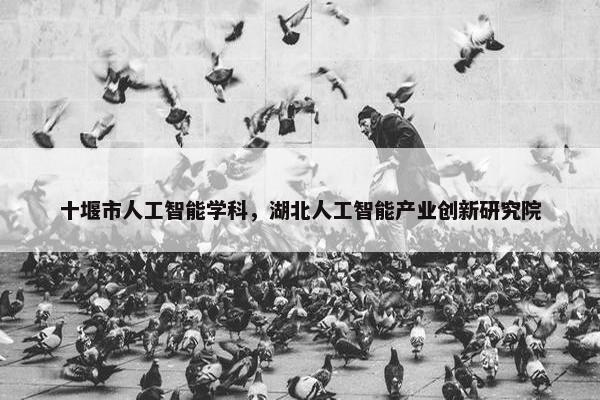十堰市人工智能学科，湖北人工智能产业创新研究院