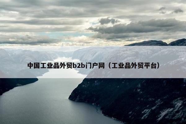 中国工业品外贸b2b门户网（工业品外贸平台）