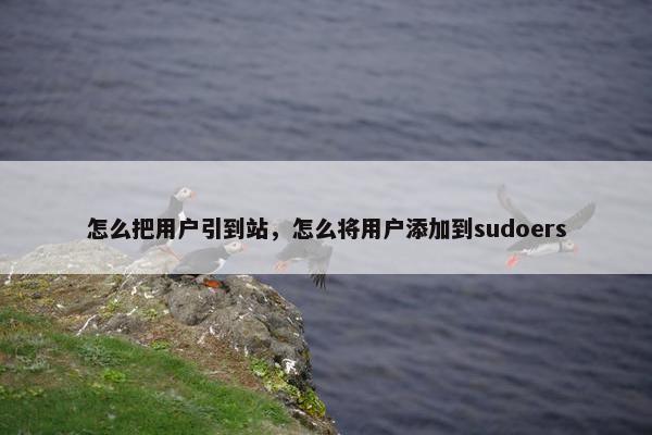 怎么把用户引到站，怎么将用户添加到sudoers