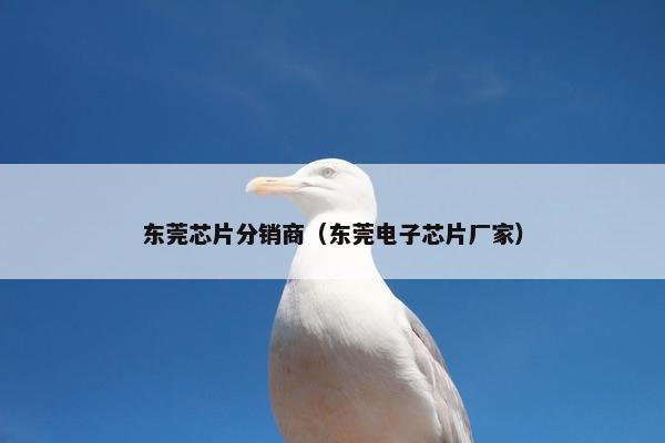 东莞芯片分销商（东莞电子芯片厂家）