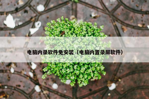 电脑内录软件免安装（电脑内置录屏软件）