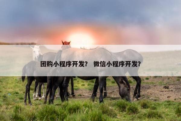 团购小程序开发？ 微信小程序开发？