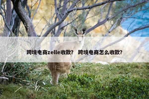 跨境电商zelle收款？ 跨境电商怎么收款？