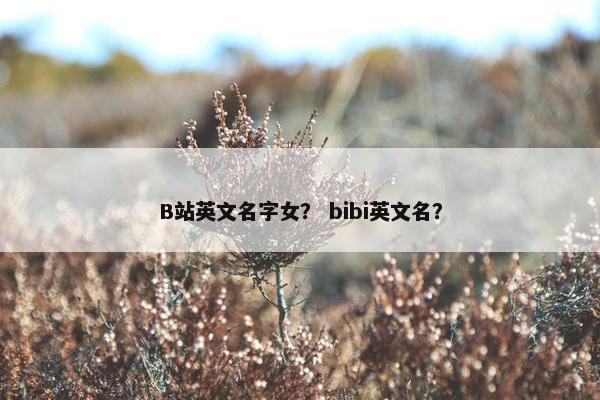 B站英文名字女？ bibi英文名？